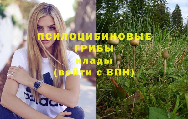 каннабис Алзамай